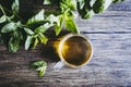 Cup of mint tea with homemade fresh peppermint Royalty Free Stock Photo