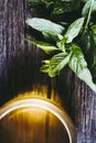 Cup of mint tea with homemade fresh peppermint Royalty Free Stock Photo