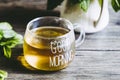 Cup of mint tea with homemade fresh peppermint Royalty Free Stock Photo