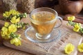 A cup of mullein tea with fresh blooming mullein
