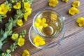 A cup of mullein tea with fresh mullein flowers