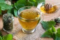 A cup of nettle tea with fresh and dried nettles Royalty Free Stock Photo