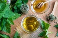 A cup of nettle tea with fresh and dried nettles Royalty Free Stock Photo