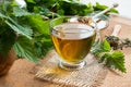 A cup of nettle tea with fresh and dry nettles Royalty Free Stock Photo