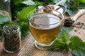 A cup of nettle tea with fresh and dry nettles in the background Royalty Free Stock Photo