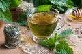 A cup of nettle tea with fresh and dry nettles Royalty Free Stock Photo