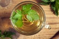 A cup of nettle tea with fresh stinging nettles, top view