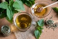 A cup of nettle tea with nettles in the background Royalty Free Stock Photo