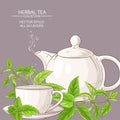 Nettle tea illustration