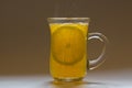 Cup with orange drink and lemon Royalty Free Stock Photo