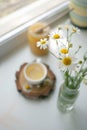 Cup of organic, anti-inflammatory, antimicrobial herbal tea with fresh chamomile flowers on white background, rustic style, blured Royalty Free Stock Photo