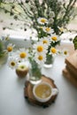 Cup of organic, anti-inflammatory, antimicrobial herbal tea with fresh chamomile flowers on white background, rustic style, blured Royalty Free Stock Photo