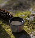 Cup and pinecone- picnic on mossy rock