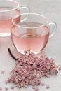 Cup of pink elderberry blossom tea Royalty Free Stock Photo