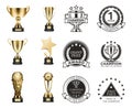 Cup Prizes Gold Collection Vector Illustration