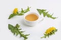 Cup of purifying, diuretic tea of dandelion with fresh leaves and flowers on a white background. Fresh spring organic herbal,