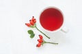 Cup of Rosehip herbal tea medicinal plants with rosehip fruits on white table Royalty Free Stock Photo