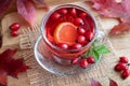 A cup of rosehip tea with fresh rosehips Royalty Free Stock Photo