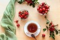 A Cup of rosehip tea with rosehip fruits in cups, close - up, top view-the concept of using medicinal herbs and fruits Royalty Free Stock Photo