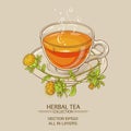 Cup of safflower tea Royalty Free Stock Photo