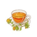 Safflower tea illustration Royalty Free Stock Photo