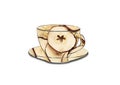 cup and saucer shaped dried apple chips Royalty Free Stock Photo