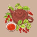 Cup of schisandra tea and teapot