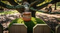 A Cup of Steaming Beverage on Mossy Hill With Curious Squirrel in the Tree Royalty Free Stock Photo