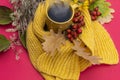 a cup of steaming tea, autumn leaves, rose hips, and a yellow knitted scarf Royalty Free Stock Photo
