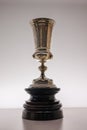 Cup Symbolizing Victory in a Competition for Barcelona Football Club Soccer Team-Barcelona Cup