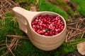 Cup with tasty ripe lingonberries on grass outdoors, closeup