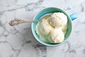 Cup with tasty vanilla ice cream Royalty Free Stock Photo