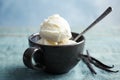 Cup with tasty vanilla ice cream Royalty Free Stock Photo