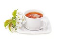Cup of tea . Royalty Free Stock Photo