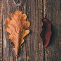 autumn leaves on wooden background