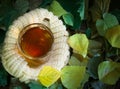 Cup of tea with autumn leaves . Season of Education. Cup on a knitted saucer, a symbol of warmth and comfort.