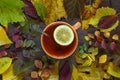 A cup of tea on a background of colorful autumn leaves on a wood
