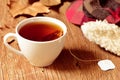 A cup with a tea bag Royalty Free Stock Photo