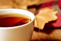 A cup with a tea bag Royalty Free Stock Photo