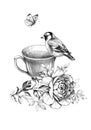 Cup Of Tea, Bird And Butterfly