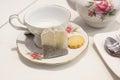 Cup of tea and biscuit Royalty Free Stock Photo