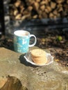 Cup of tea and biscuits in the garden