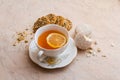 A cup of tea with biscuits Royalty Free Stock Photo