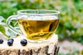 A cup of tea with black currant leaves. Tea with currants on a wooden table in the open air Royalty Free Stock Photo