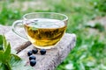 A cup of tea with black currant leaves. Tea with currants on a wooden table in the open air Royalty Free Stock Photo