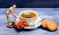 Cup of tea on blue background close up. Gourmet delicious taste. Cafe menu. Berry tea. Ceramic cup hot fresh brewed tea Royalty Free Stock Photo