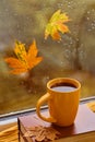 cup of tea, book, autumn leaves and candle on window sill at home