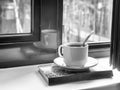 A Cup of tea and a book on the windowsill