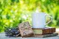 Cup of tea, books and gift. Romantic background with cup of tea and gift box. Cup of tea in the garden Royalty Free Stock Photo