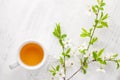 Cup of tea and branches of blossoming cherry on old wooden table